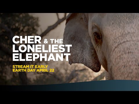 Video Cher & The Loneliest Elephant - Official Trailer 2021