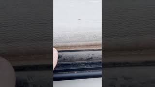 The SILENT Mistake Killing Your RV Insert Molding