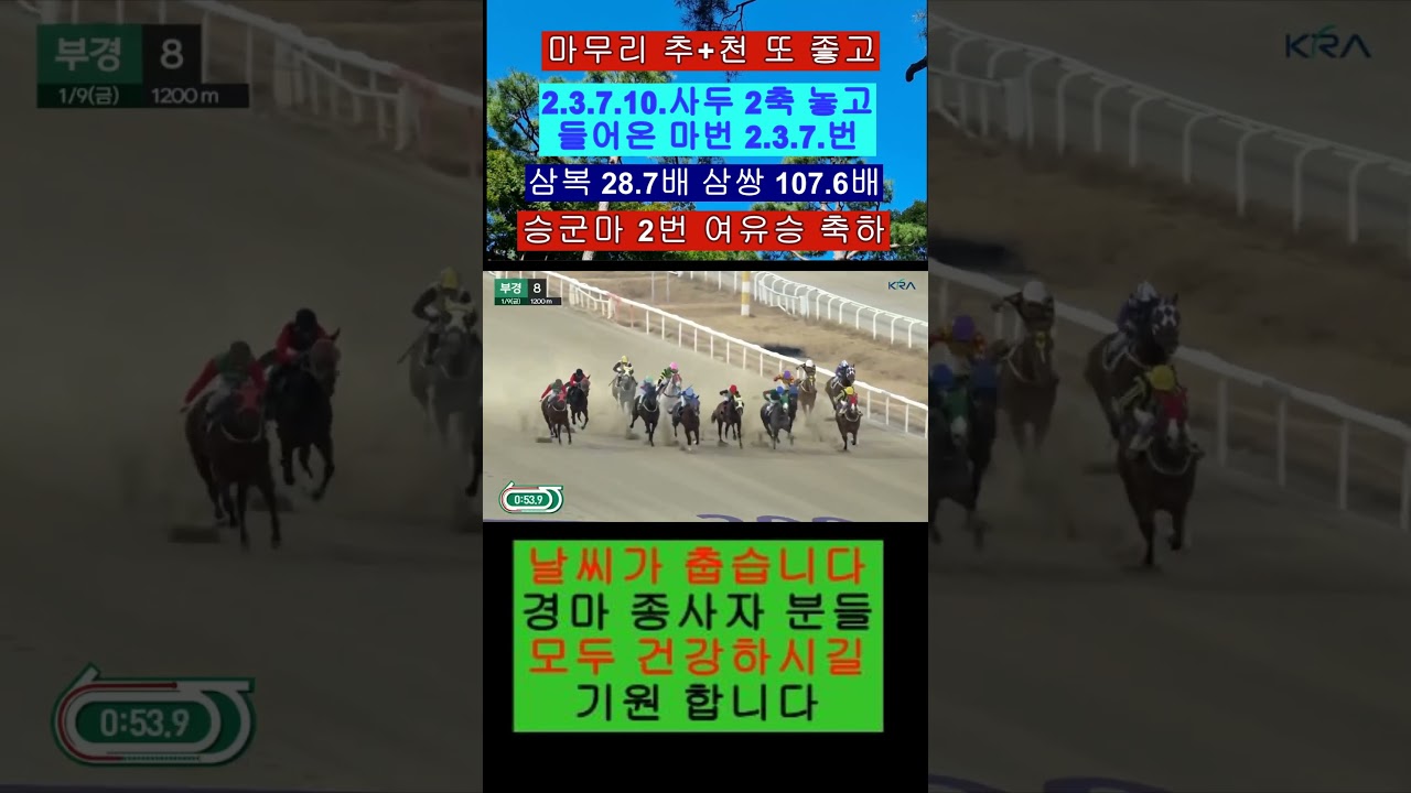 마무리 추+천 승군마 2번 여유승 영상보기