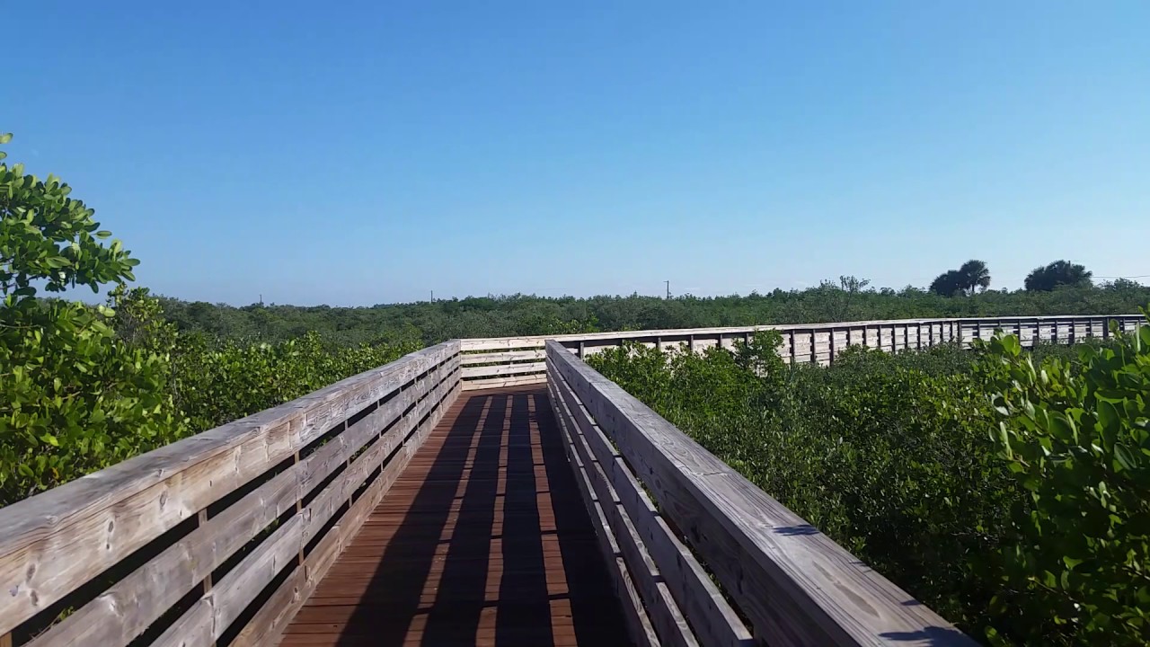 Robert Rees Grove Robert K Rees Memorial Park Boardwalk - YouTube