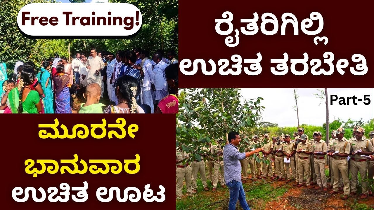 ಏನು ಮಾಡದೇ ಸುಮ್ಮನಿರು ಕೃಷಿ ಮಾಡಿ!! ಕಳೆ ತೆಗೀಬೇಡಿ, ಗೊಬ್ಬರ ಹಾಕಬೇಡಿ, ಔಷಧಿ ಹೊಡಿಬೇಡಿ!! part-5