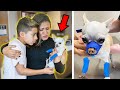 We RUSHED Our DOG To The HOSPITAL Again.. (PRAY FOR PRINCESA) 💔 | The Royalty Family