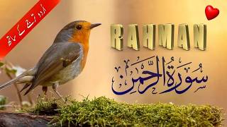 Surah Rahman Urdu Tarjuma ke Sath | Abdul Basit Abdul Samad | Surah Rahman | Noor Quran Recitation