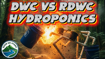 DWC vs RDWC Hydroponics