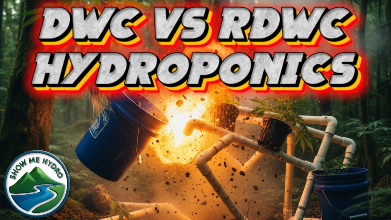 Гидропоника DWC против RDWC