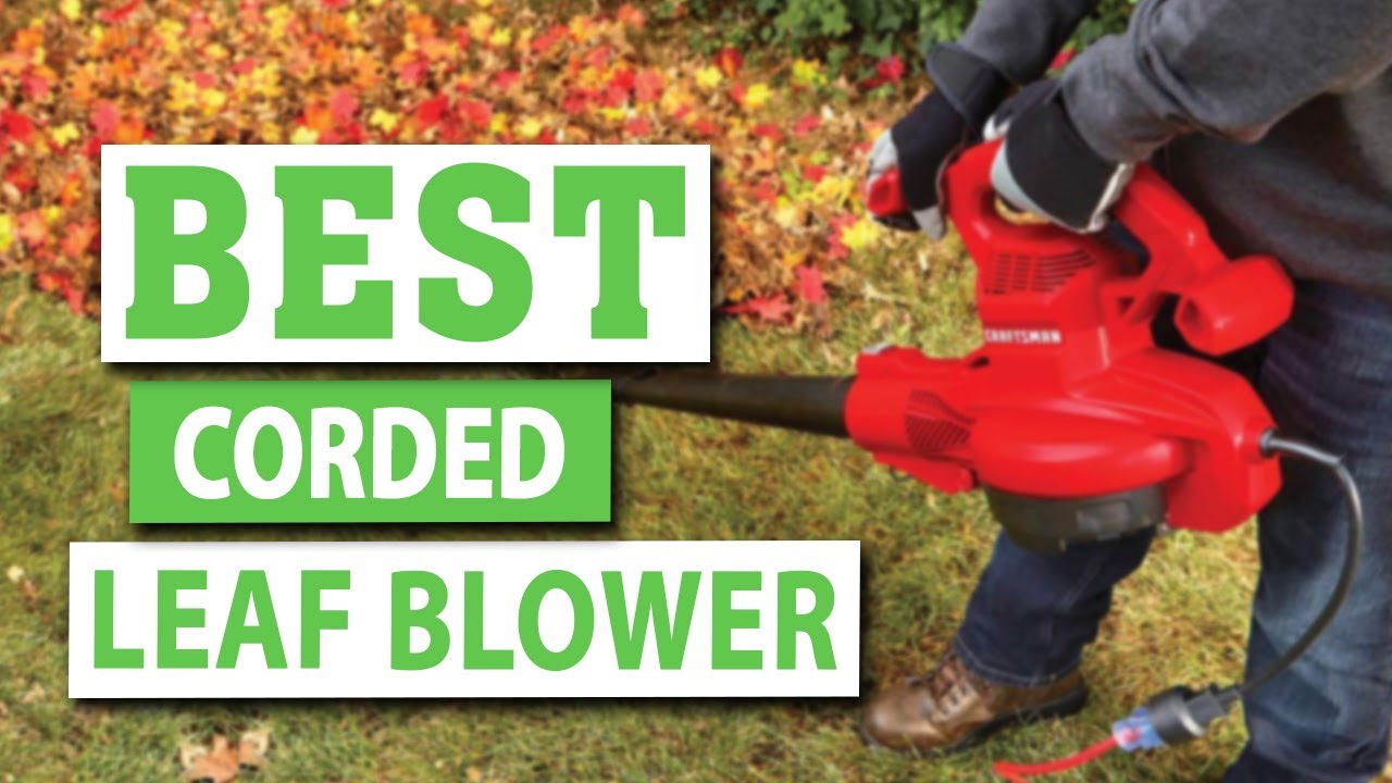 Best Corded Leaf Blower You Can Get Don't Buy Before You Watch This