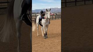 From first ride to the last with Spring Fling❤️ 6 years.🥺 now he gets to go teach someone new!🥹
