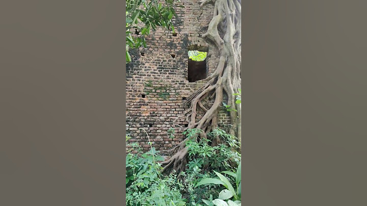 "Rumah berusia ratusan tahun ditemukan jauh di dalam hutan angker"