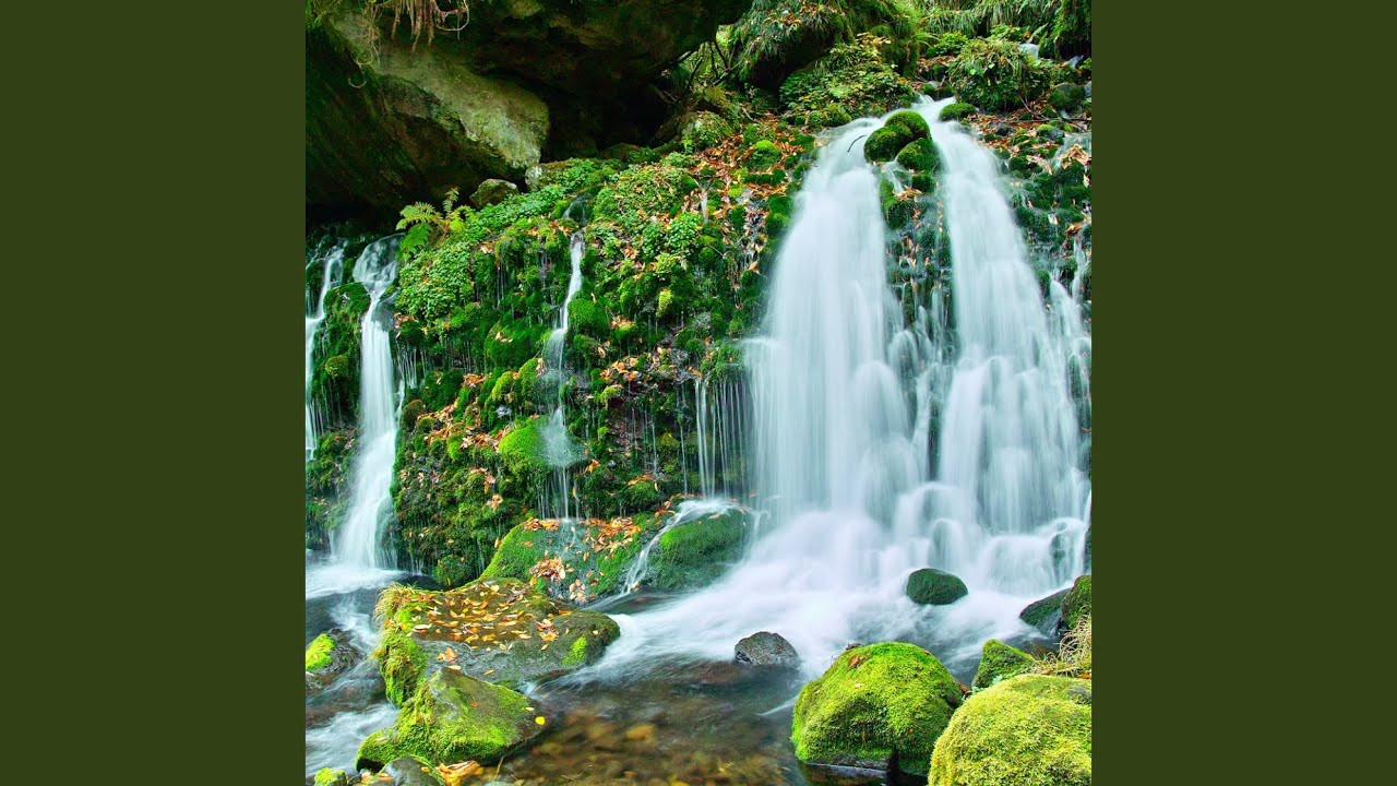 Waterside Flowing Dreams