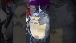 #Totoro #cosplay is just one of many highlights of #AnimeLA17. #ALA17