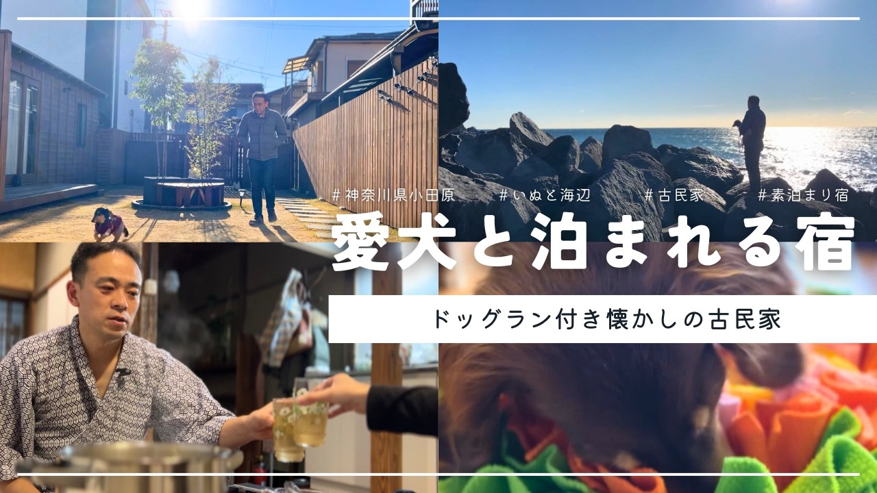 【犬連れ旅行神奈川小田原宿】愛犬と泊まれる宿\いぬと海辺•北館/で昭和レトロな宿泊体験🐶🐶😴1泊2日わんこ旅2/2 2025.1