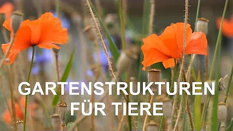 Welches Tier wühlt im Garten?