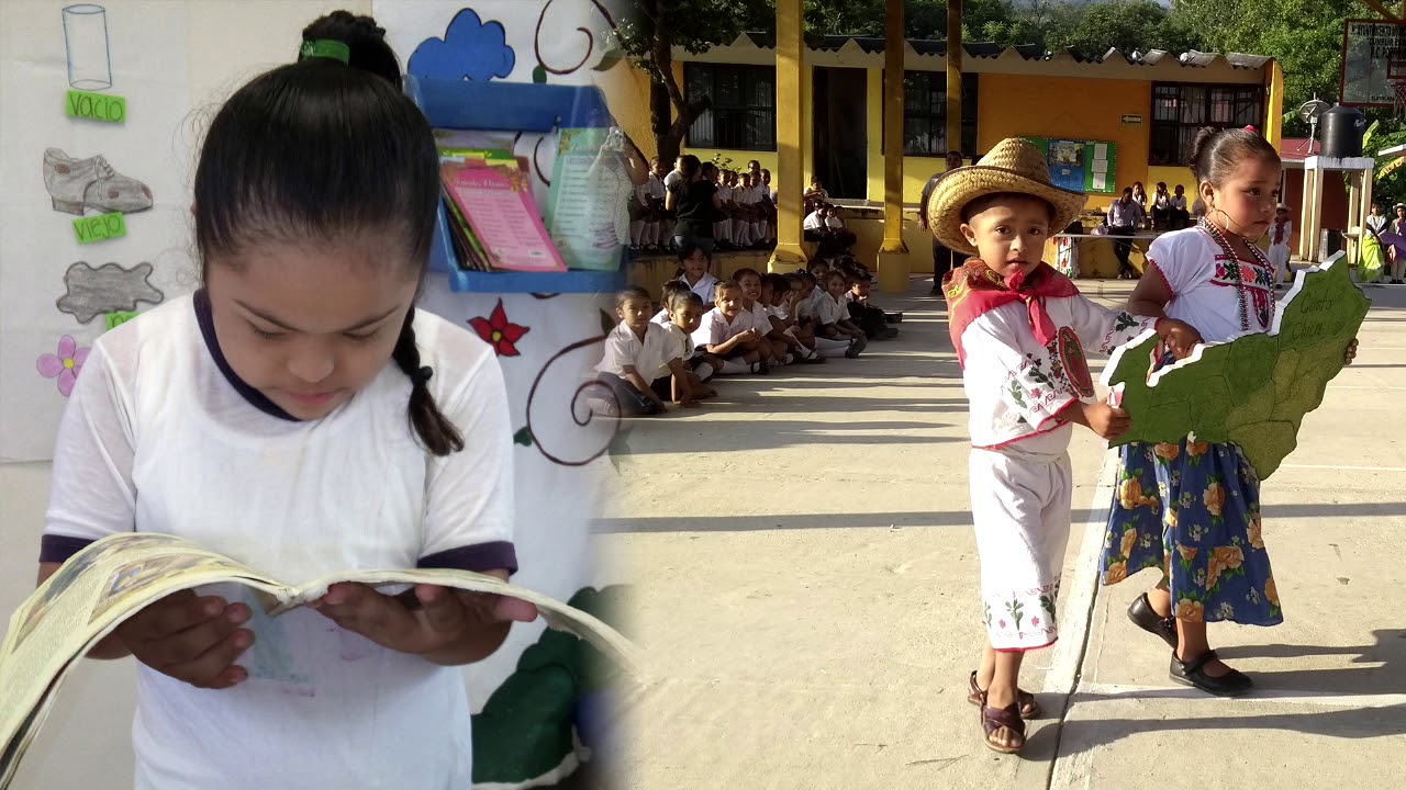video-escuela-primaria-vicente-guerrero-tlayolapa-youtube