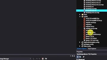 Setup AngularJs on Visual Studio Project