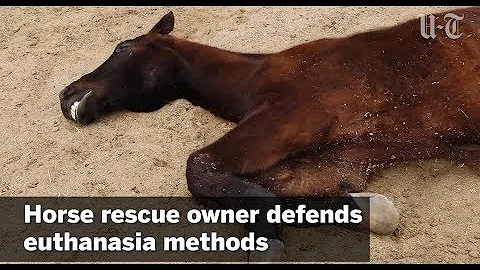 Horse Rescue Owner Defends Euthanasia Methods | Sa...