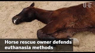 Horse Rescue Owner Defends Euthanasia Methods | San Diego Union-Tribune screenshot 5