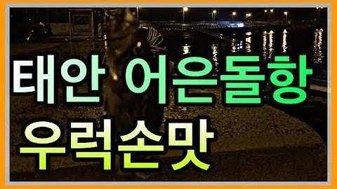 태안 어은돌항/6월 중순 내항 낚시
