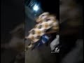 Warisi Dj Yk Original Viral Trending Nigeria Comedy Funny Warisi Warisi Dj Yk Original Viral Trending Nigeria Comedy Funny Warisi
