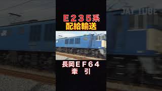 E235系 配給輸送 長岡EF64 牽引 E235 series distribution transport Nagaoka EF64 traction #jaytube #train