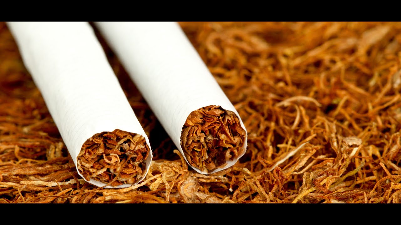 anti tobacco song Sun Lo Saare Janon (Anti-Tobacco Awareness Song) | S. J. Jananiy | Ravindra  Upadhyay