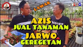 LAWAK  ||  AZIS JUAL TANAMAN - JARWO GEREGETAN