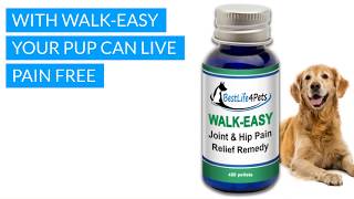 Walk Easy Natural Joint and Hip Pain Relief