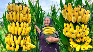 Lots of Fresh Banana Jam Preparing Amazing Rustic Fruit Flavor for Winter