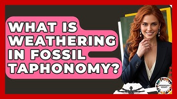What Is Weathering In Fossil Taphonomy? - Anthropology Insights