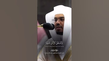 ياسر الدوسري تلاوة من فواتح سورة مريم | كهيعص ذكر رحمت ربك عبده زكريا إذ نادى ربه نداء خفيا….