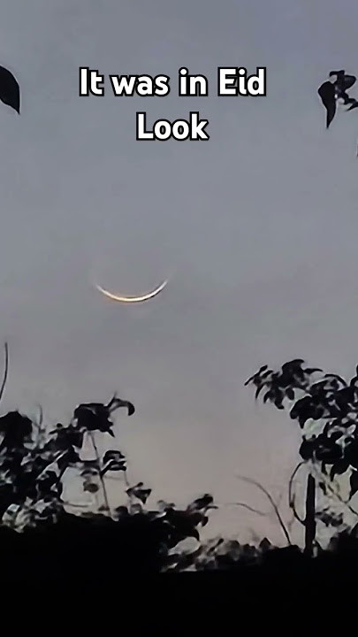 #kpop it is kpop song