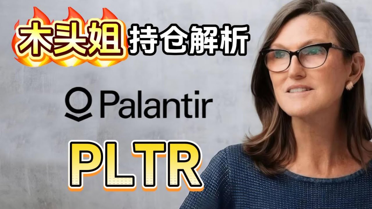 木头姐(Cathie Wood) 持仓解析：Palantir 神秘的政府承包商- YouTube