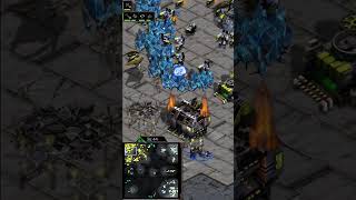 🔴🔥 StarCraft Remastered - 스타크래프트 Bisu vs Light: 역대급 리콜 쇼! 👑 [Protoss vs Terran] 🔴🔥