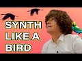 Creating Nature Sounds on Synthesizer-Birds &amp; Bugs