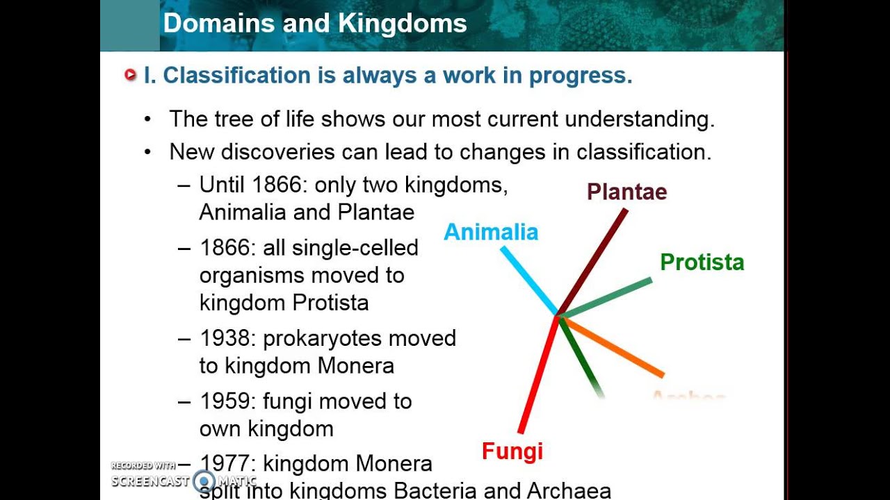 Domains and Kingdoms (Theme 4 Topic 2 pg 2)