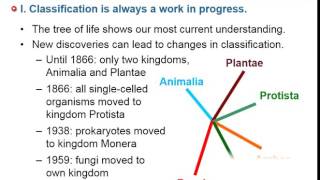 Domains and Kingdoms (Theme 4 Topic 2 pg 2)