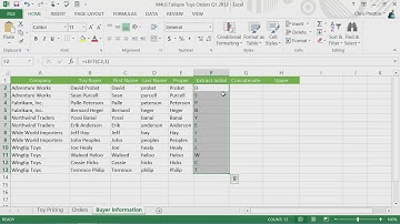 Microsoft Excel 2013 - Module 5: Work with Data