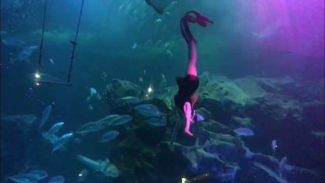 The "Mermaid Show" at "Hanwha Aqua Seoul, Korea(3) YouTube
