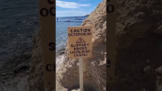 : Doubletree by Hilton Sharks Bay. Beach. Dinner. . .  3.#sharmelsheikh2025