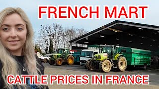 CATTLE MART AND PRICES IN FRANCE