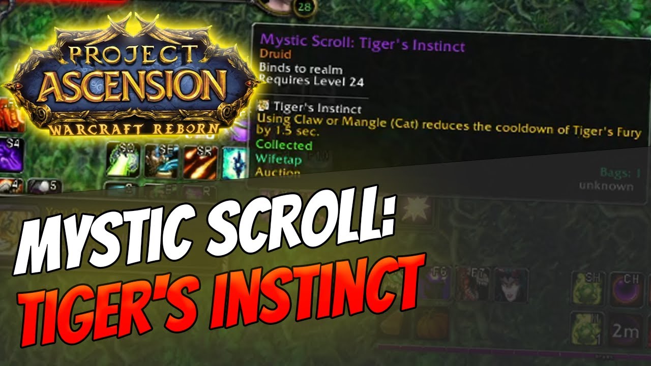 How to get Mystic Enchant: Tiger's Instinct | Druid [Bronzebeard | Ascension Warcraft Reborn]