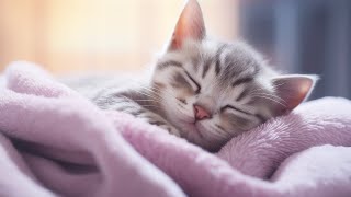 Music for Nervous Cats  Soothing Sleep Music, Deep Relaxation Music For Your Pet