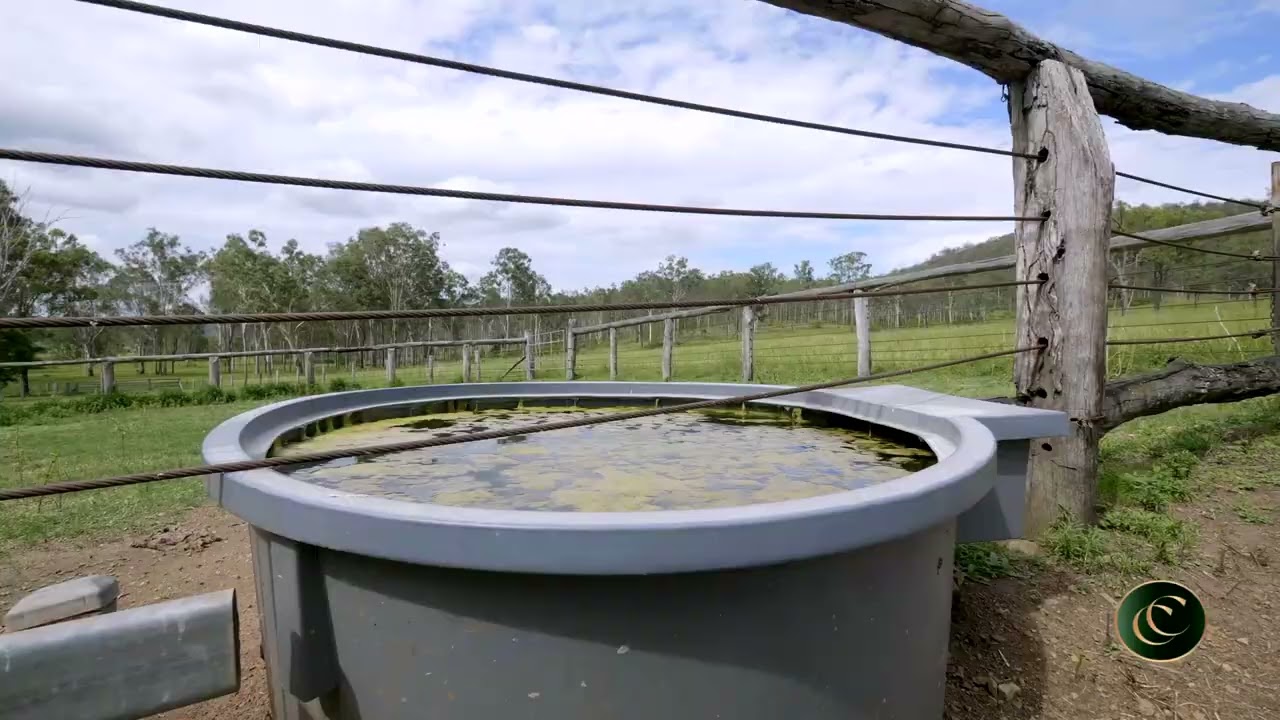 Serpintine Creek WOOLOOGA - Cherie Carlson