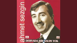 Kimsesiz Bir Divaneyim Resimi