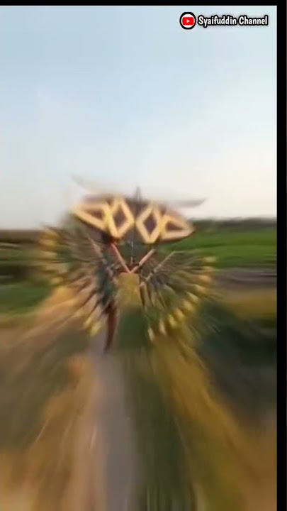 story'wa layangan merakan 🦚||terbaru 30 detik 🔰DJ Slow terbaru 🎶