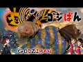 「モシュモシュつながる永遠に」の巻 | ゴジばん | もしモス#4