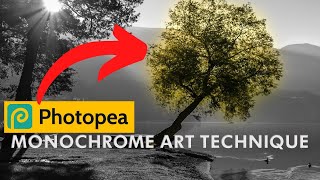 PHOTOPEA: Monochrome Art Technique (Step by Step For Beginners)