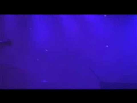 Western Eyes Live