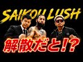 【解散!？】SAIKOU LUSH に大きな動き！