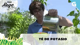 Como facer té de potasio