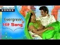 Evergreen Hit Song of The Day || Kallo kalayanamala Video Song || Shalimarcinema